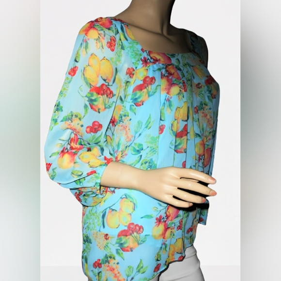 LC Laura Conrad, NWOT, Peasant Chiffon Blouse, Fruit Print, Size XXL - Picture 6 of 11